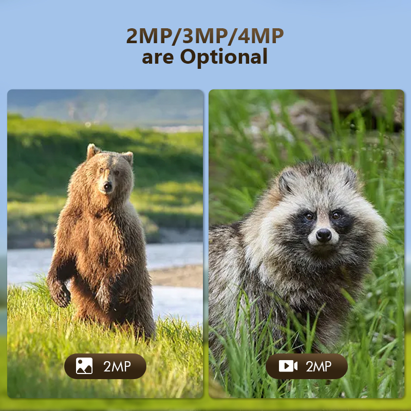 4G 4MP Outdoor Wildlife Huntin - огляд і ціна Panel Power Outdoor