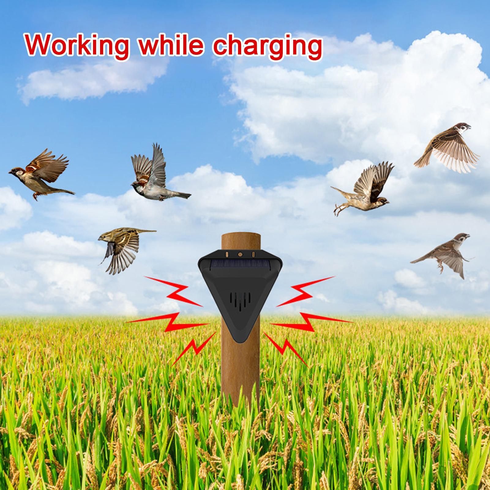 Solar Timer Bird Repeller With - огляд і ціна Outdoor Power Timer