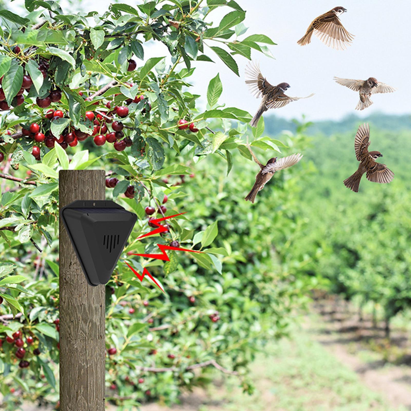 Solar Timer Bird Repeller With - огляд і ціна Outdoor Power Timer